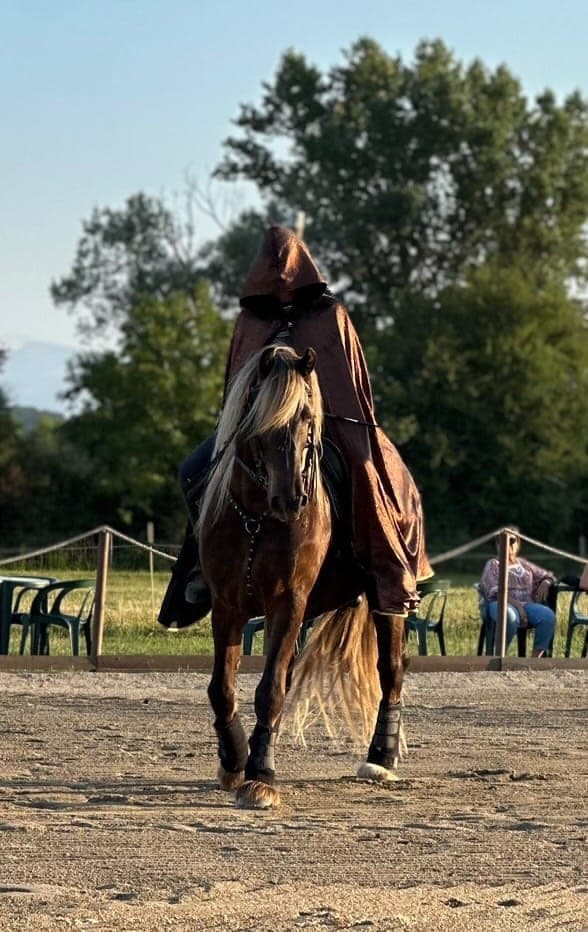 Cavalier en cape sur son cheval pendant un spectacle