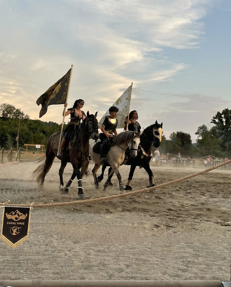 Caval'Ange riders galloping with their banners