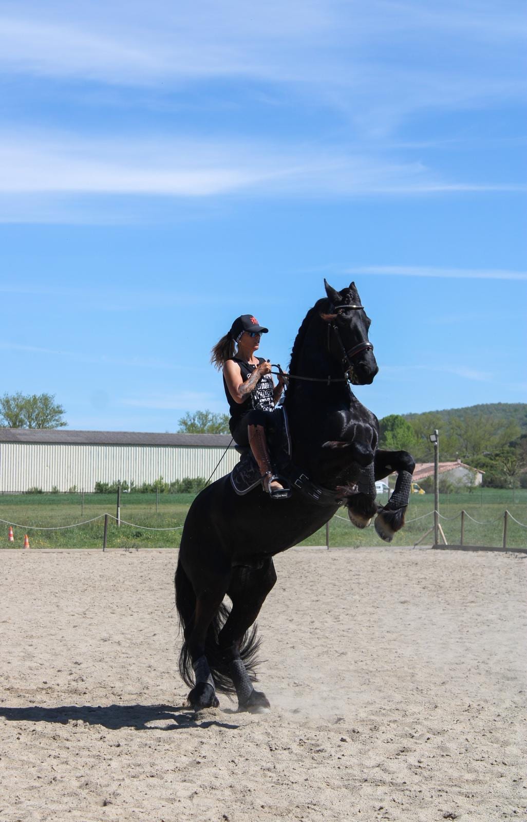 Angélique Jollivet sur son cheval noir cabré