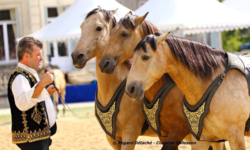 Christophe Hasta Luego with his horses