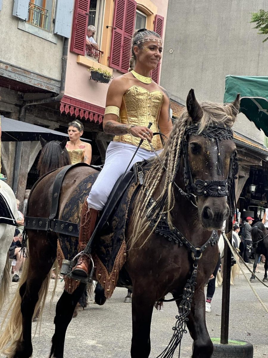 Rider in show costume during a parade